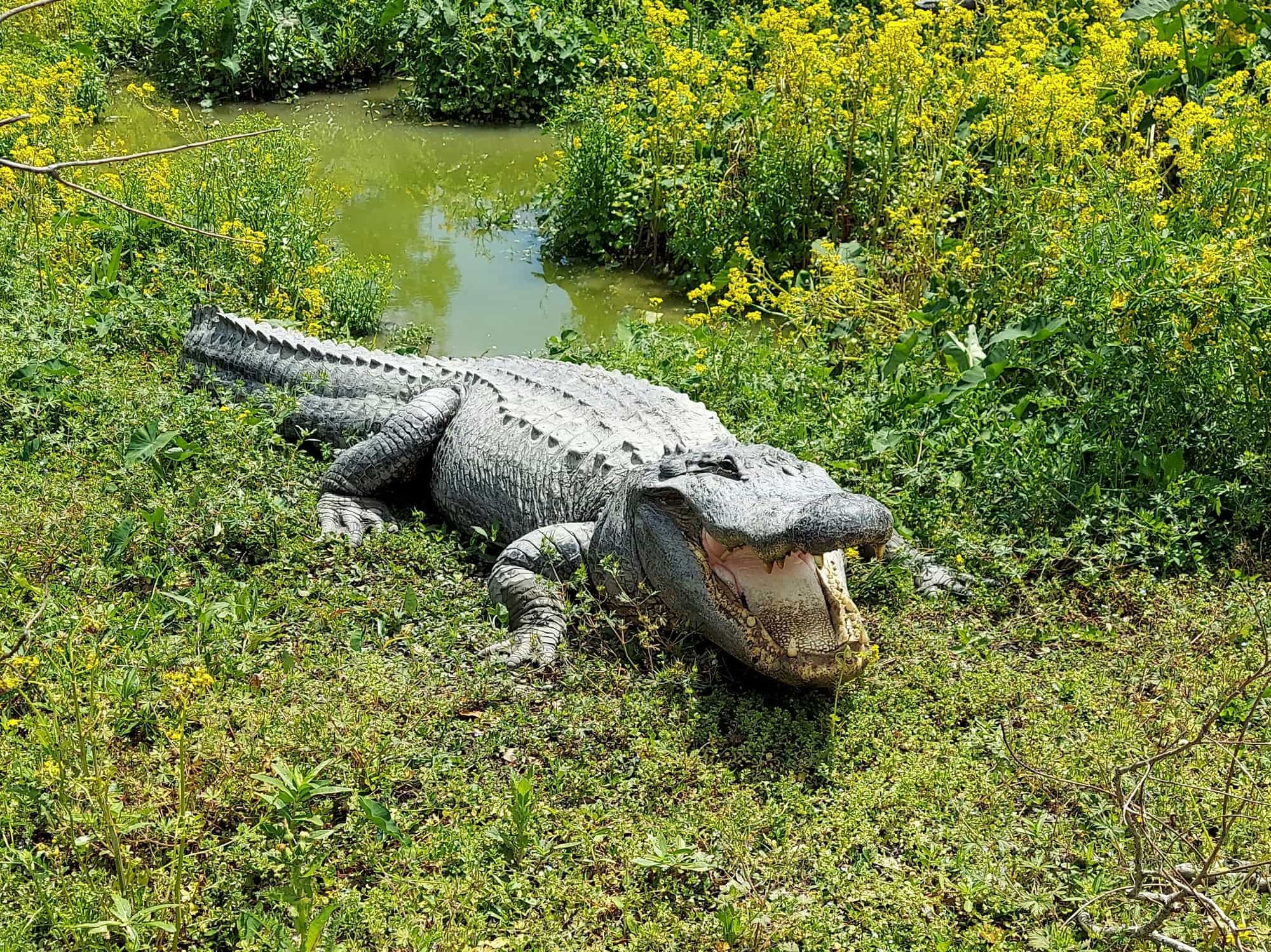 Cultural Immersion Itinerary